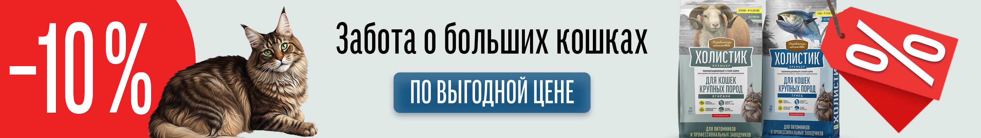 Забота о больших кошках