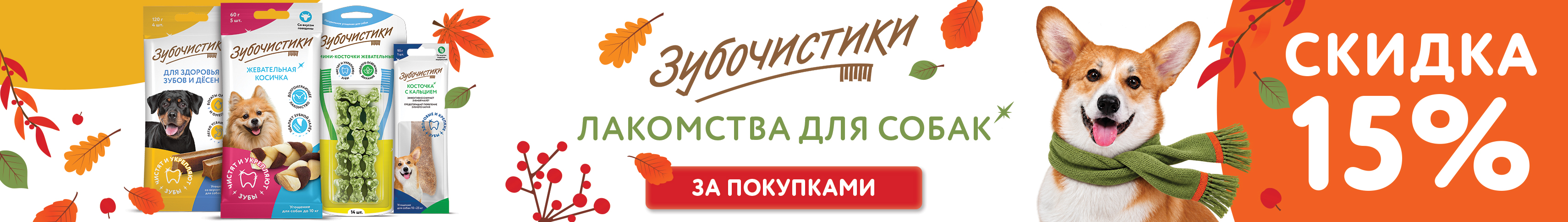Зубочистики промо