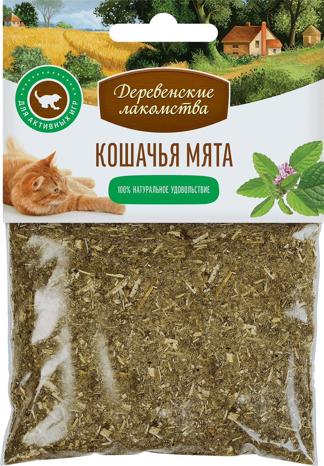 Кошачья мята